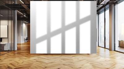 Shadow overlay window Wall mural