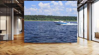 A motorboat moving on a large lake against the background of a pine forest. Lake Seliger Wall mural