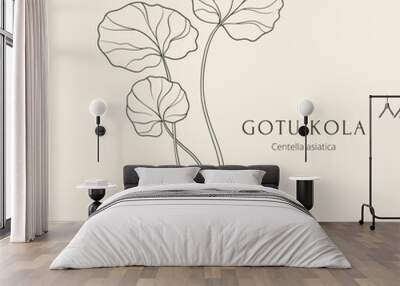 Gotu kola or Centella asiatica hand drawn vector illustration Wall mural