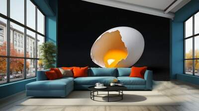 Image of a broken white egg with bright yellow yolk spilling out onto a dark surface, showcasing the raw and fresh state of an egg in high detail. Wall mural