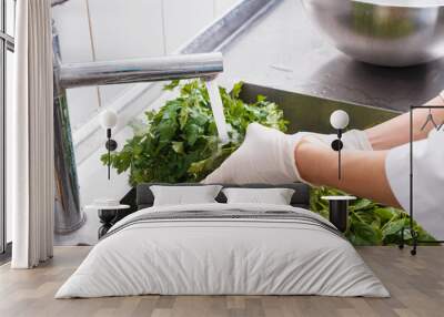 Female hands are holding a bunch of parsley in a sink. Wall mural