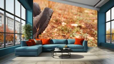 Photo of mans legs on a hill in autumn season . Wall mural