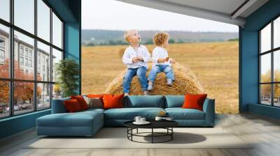 Photo of  two little boys , sitting on a stack of hay,  posing and looking  away Wall mural