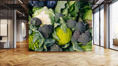 Top view photo of many eco and bio green cauliflower, broccoli and cabbage in market. Wall mural