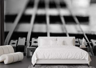 black and white capture of bass guitar strings Wall mural