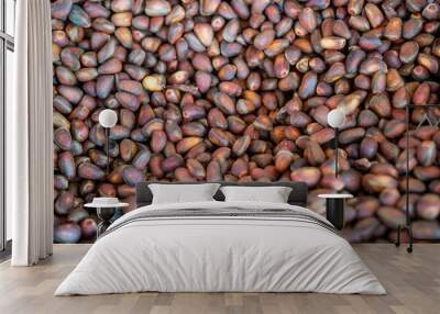 Natural background with pine nuts close up Wall mural