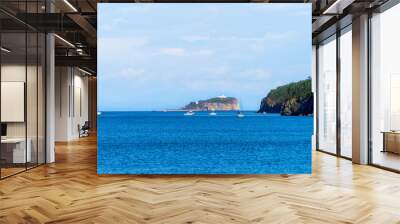 Seascape with island and ships on the horizon Wall mural