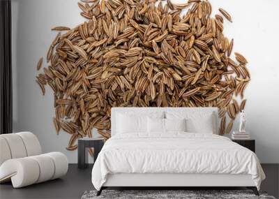 top view of pile of caraway seeds close up on gray Wall mural