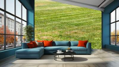 trimmed green lawn with sun-bleached grass Wall mural