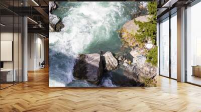 water flow in mountain river in Dombay Wall mural