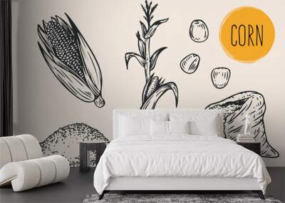 Hand draw corn with seeds in monochrome sketch style. Agriculture organic food plant. Engraving vintage vector illustration. Wall mural