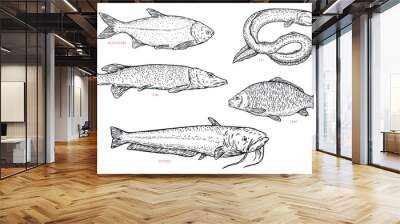 Set hand draw river fish in sketch cartoon style. Pike, eel, catfish, carp. Vector illustration. Wall mural