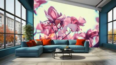 Blossoming magnolia flowers. Springtime. Natural vintage flowers background Wall mural