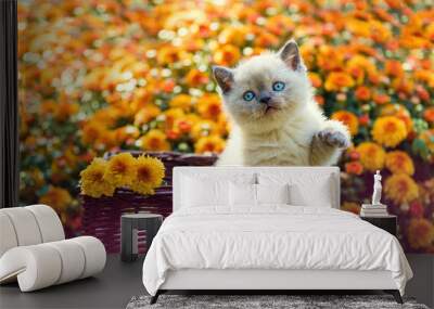 Cute little kitten in orange daisy flowers Wall mural