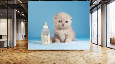 Cute little kitten sitting near the nipple with milk Wall mural