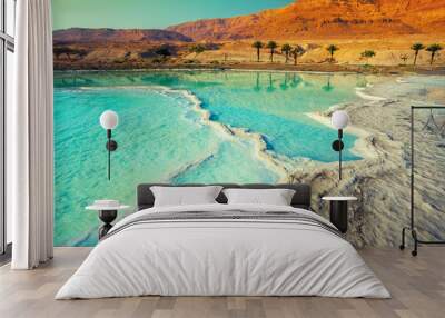 Dead sea salt shore Wall mural