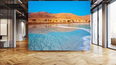 Dead Sea seashore with palm trees and mountains on background Wall mural