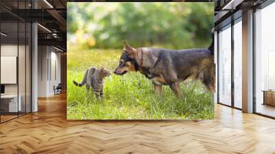 Dog and cat sniffing each other Wall mural