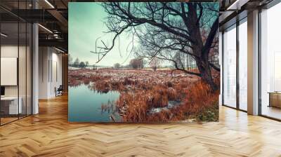 Lake in winter during the first snow Wall mural