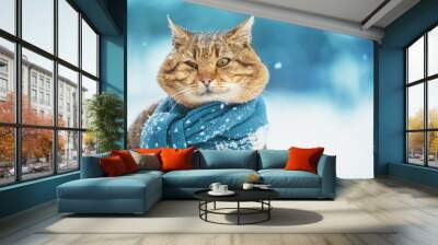 Portrait of a funny cat in a knitted scarf. Cat sitting outdoors in the snow in winter during snowfall Wall mural