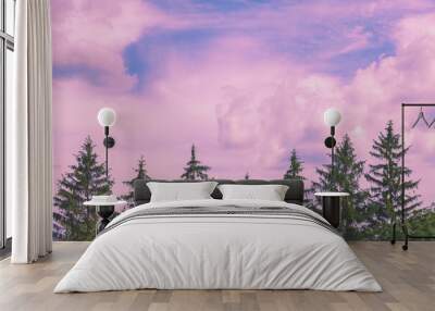 Row of fir trees against the purple cloudy sunset sky. Nature background Wall mural