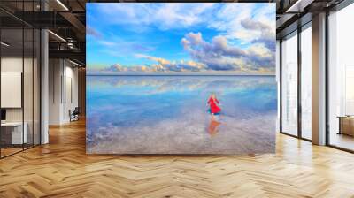 Silhouette of a young woman in a long red dress walking along the salty shore of the Dead Sea Wall mural