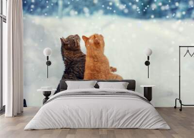 Two cats walk on snow during a snowfall Wall mural