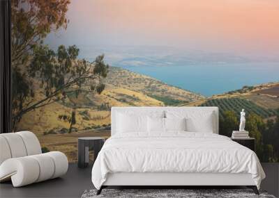 View from the hill of the Sea of Galilee, Tiberias, Israel Wall mural