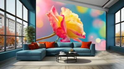 Vintage colorful rose at sunrise Wall mural