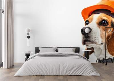 A beagle dog in a construction helmet on a white isolated background. Happy Labor Day Holiday. Copy space image. Place for adding text or design Wall mural