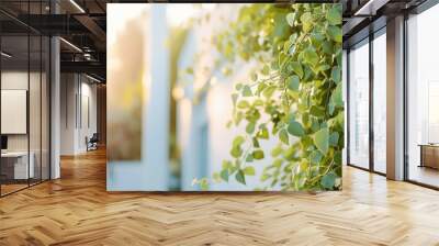 A closeup of plants on a white building under sunlight with a blurry background. with copy space image. Place for adding text or design Wall mural