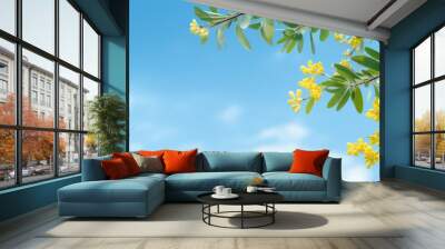 A panoramic banner with Acacia branches against a blue sky, allowing for copy space image. Wall mural