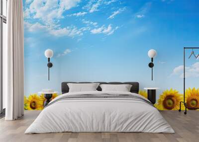 A picturesque scene of sunflowers in a field under a clear blue sky with an abundance of copy space image. Wall mural