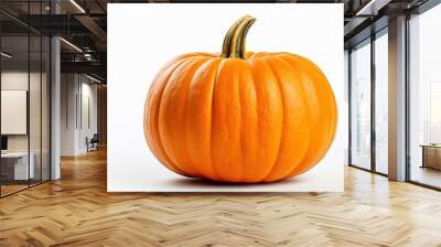 A small pumpkin in orange color placed on a surface that is white in color. with copy space image. Place for adding text or design Wall mural