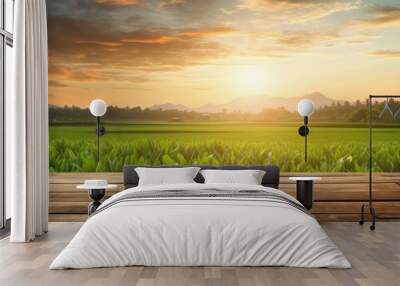 A stunning natural view of a rice field landscape on a wooden floor under a rainy season sunset, perfect for a copy space image. Wall mural