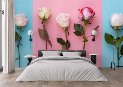 Arrangement of roses set against a colored background Overhead top view flat lay Copy space Concepts for birthday Mother s Day Valentine s Day Women s Day or Wedding Day Wall mural