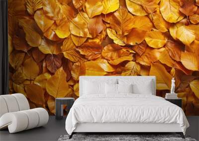 Beautiful autumn layout from a top view. with copy space image. Place for adding text or design Wall mural