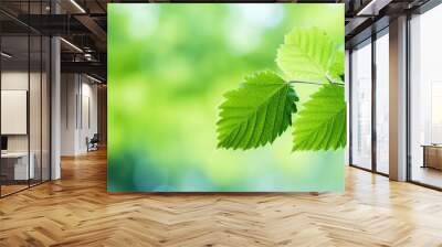 Copy space image of a bokeh background showcasing the intricate beauty of a green mulberry tree leaf Wall mural