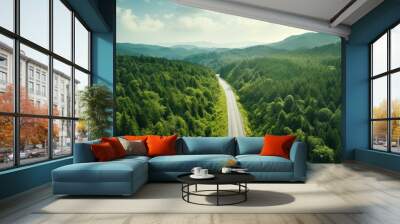 Countryside road passing through green forest and mountain seen from above Copy space image Place for adding text or design Wall mural