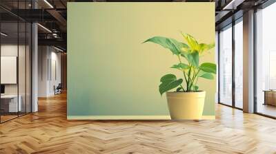 Decorative little green plant in ceramic pot on pastel background. with copy space image. Place for adding text or design Wall mural