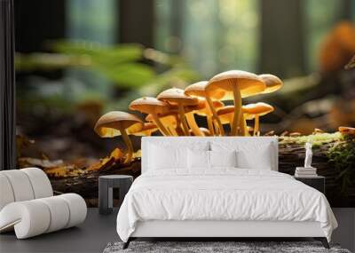 Diverse Wild Mushrooms Sprouting Elegantly on Timber Log in Lush Forest Setting Wall mural