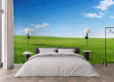 Field of lush green grass with a clear blue sky in the background, perfect for a copy space image. Wall mural