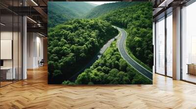 Forest road with aerial view and moving car Wall mural