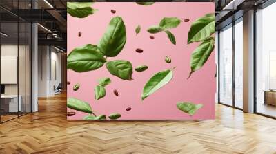 Fresh green coffee leaves falling isolated on pink background Wall mural