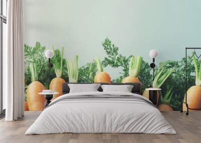 Heap of young raw organic carrots isolated. with copy space image. Place for adding text or design Wall mural