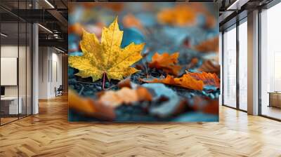 isolated yellow autumn maple leaf. with copy space image. Place for adding text or design Wall mural