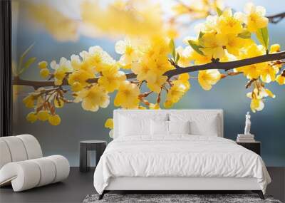 Lovely yellow blossom in the park with copy space image. Wall mural