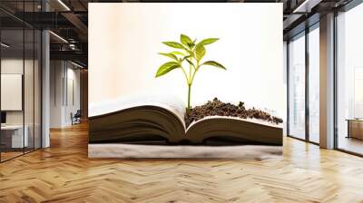 Mustard plant growing on Bible symbolizes Christian faith and spiritual growth Wall mural