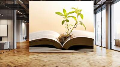 Mustard plant growing on Bible symbolizes Christian faith and spiritual growth Wall mural