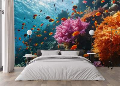 Pink and orange corals and school of swimming tropical fish Snorkeling on the colorful coral reef underwater photography Vivid healthy marine wildlife Ocean ecosystem. with copy space image Wall mural